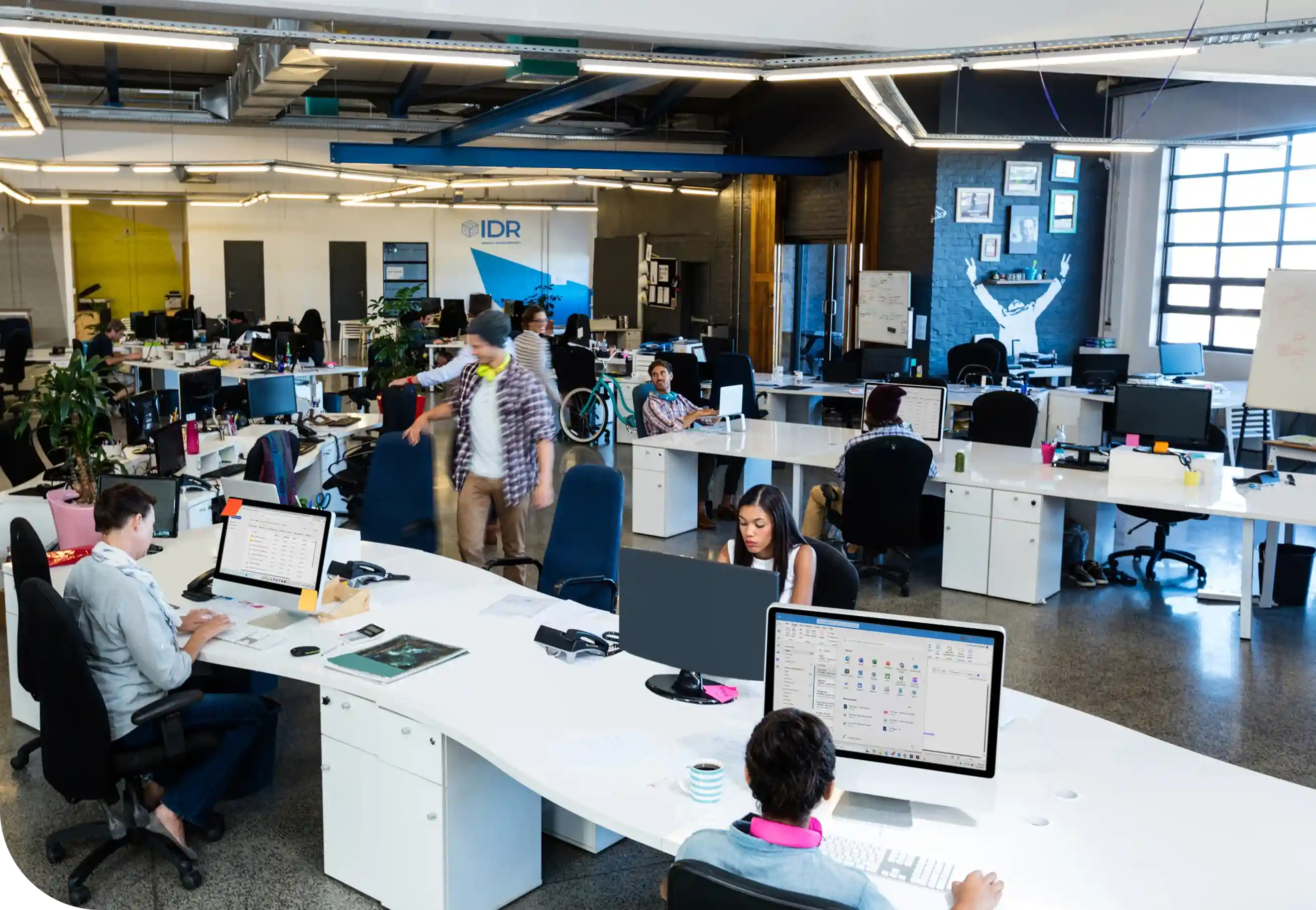 IDR team working in office